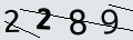 verifycode